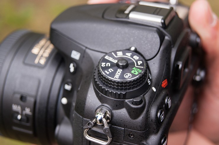 Nikon D7100 (9).jpg